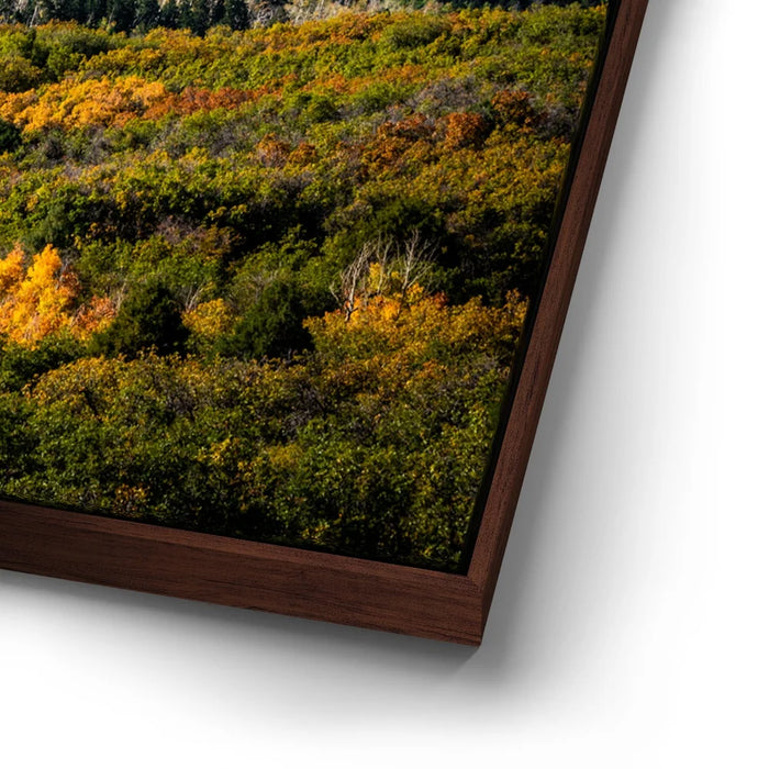 Featured image 14 for Golden Pocket