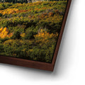 Thumbnail image 14 for Golden Pocket