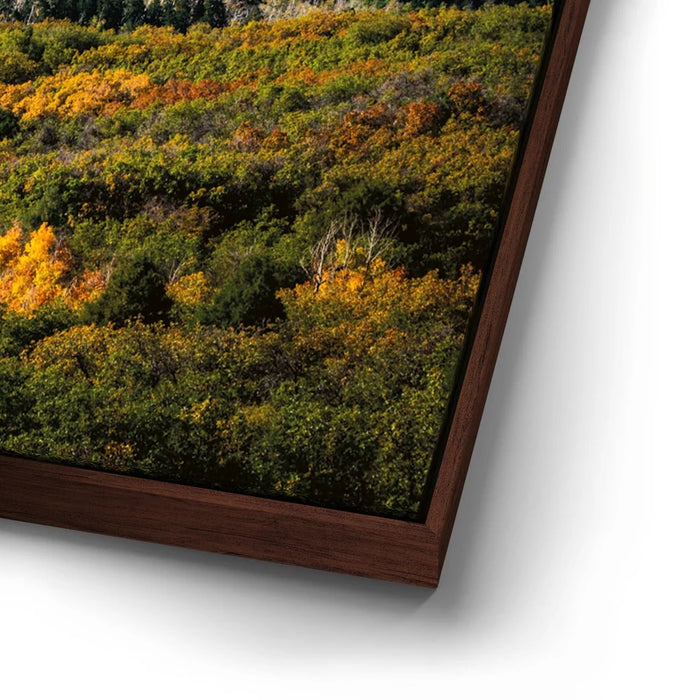 Featured image 14 for Golden Pocket