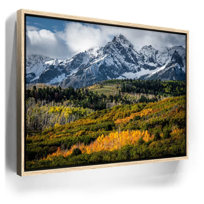 Featured image 9 for Golden Pocket