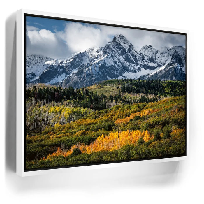 Featured image 6 for Golden Pocket