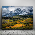 Featured image 1 for Golden Pocket