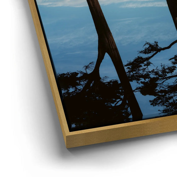 Featured image 12 for Golden Reflections