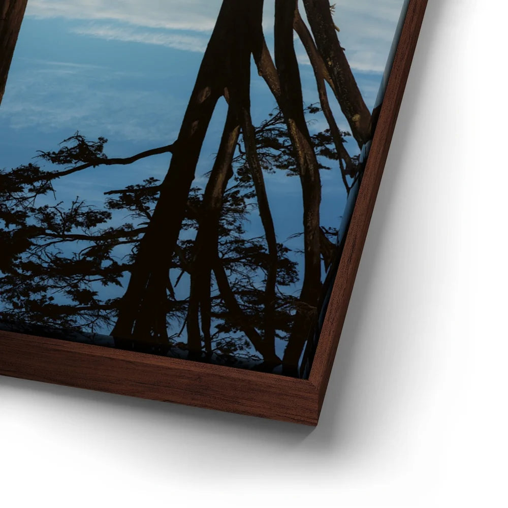 Featured image 14 for Golden Reflections