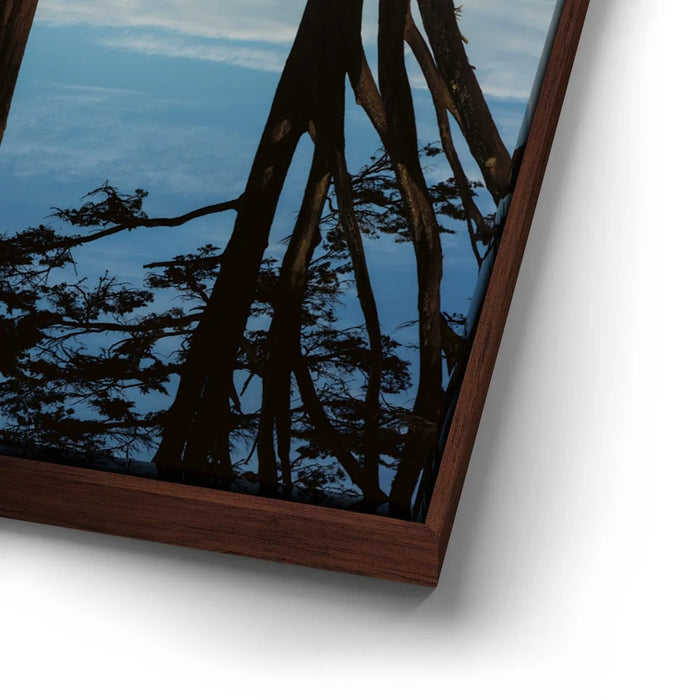 Featured image 14 for Golden Reflections