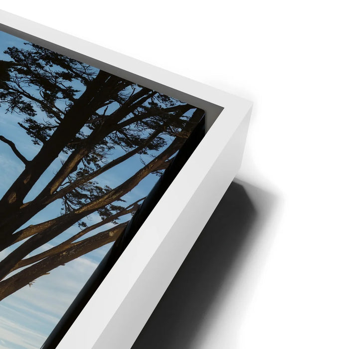 Featured image 13 for Golden Reflections