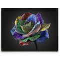 Featured image 1 for Graffiti Rose
