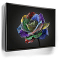 Featured image 5 for Graffiti Rose