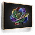 Featured image 9 for Graffiti Rose