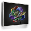 Featured image 8 for Graffiti Rose