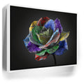 Featured image 6 for Graffiti Rose