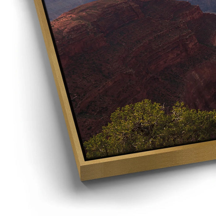 Featured image 12 for Grand Canyon - Grand Canyon, Arizona