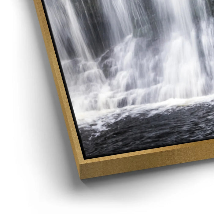 Featured image 12 for Green Dragon