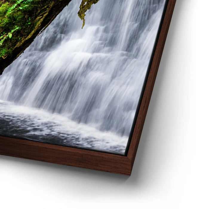 Featured image 14 for Green Dragon