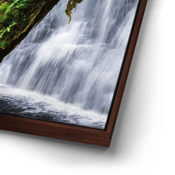 Featured image 14 for Green Dragon