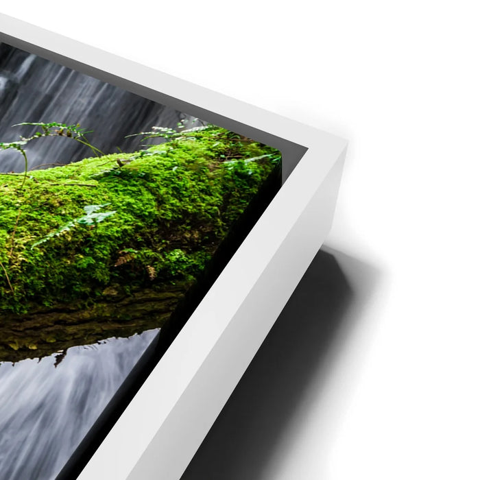 Featured image 13 for Green Dragon