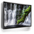 Featured image 5 for Green Dragon