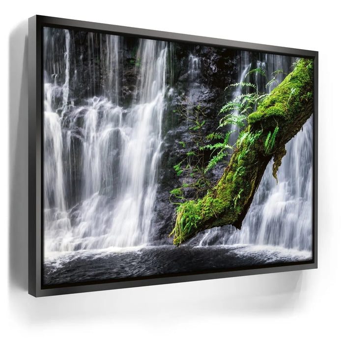 Featured image 5 for Green Dragon