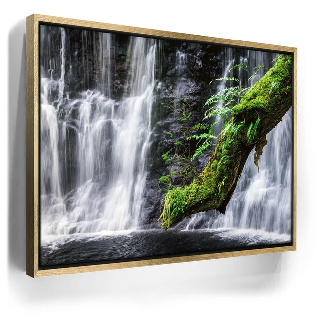 Featured image 7 for Green Dragon