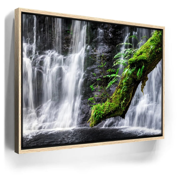 Featured image 9 for Green Dragon