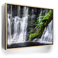 Featured image 9 for Green Dragon