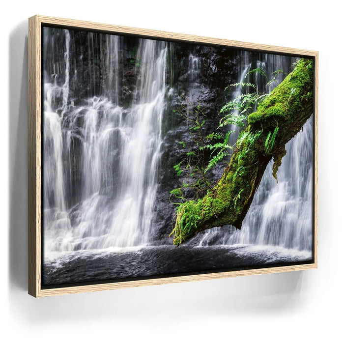 Featured image 9 for Green Dragon