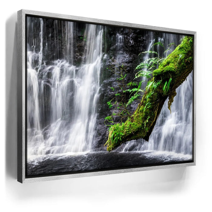 Featured image 8 for Green Dragon