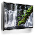 Featured image 8 for Green Dragon