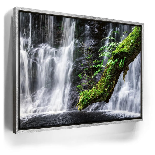 Featured image 8 for Green Dragon