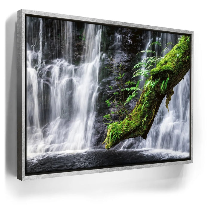 Featured image 8 for Green Dragon