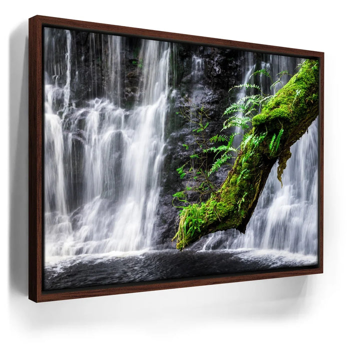 Featured image 10 for Green Dragon