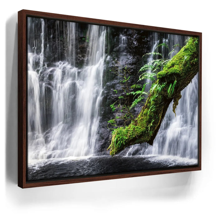 Featured image 10 for Green Dragon