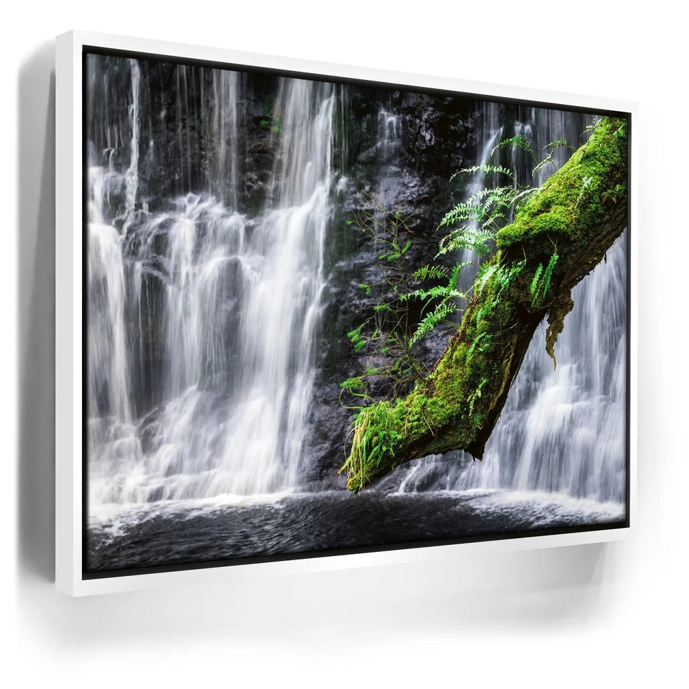 Featured image 6 for Green Dragon