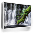 Featured image 6 for Green Dragon