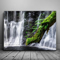 Featured image 1 for Green Dragon