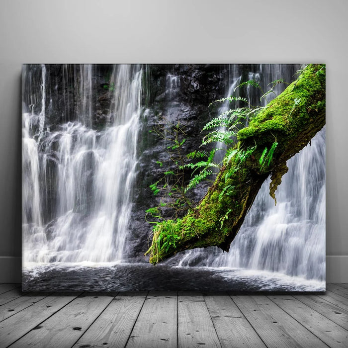 Featured image 1 for Green Dragon