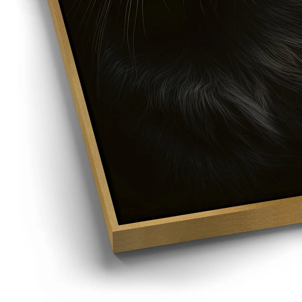 Featured image 12 for Green Eyed Maine Coon