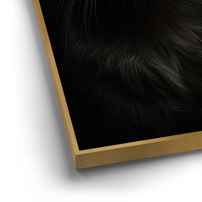 Featured image 12 for Green-Eyed-Maine-Coon