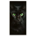 Featured image 1 for Green Eyed Maine Coon
