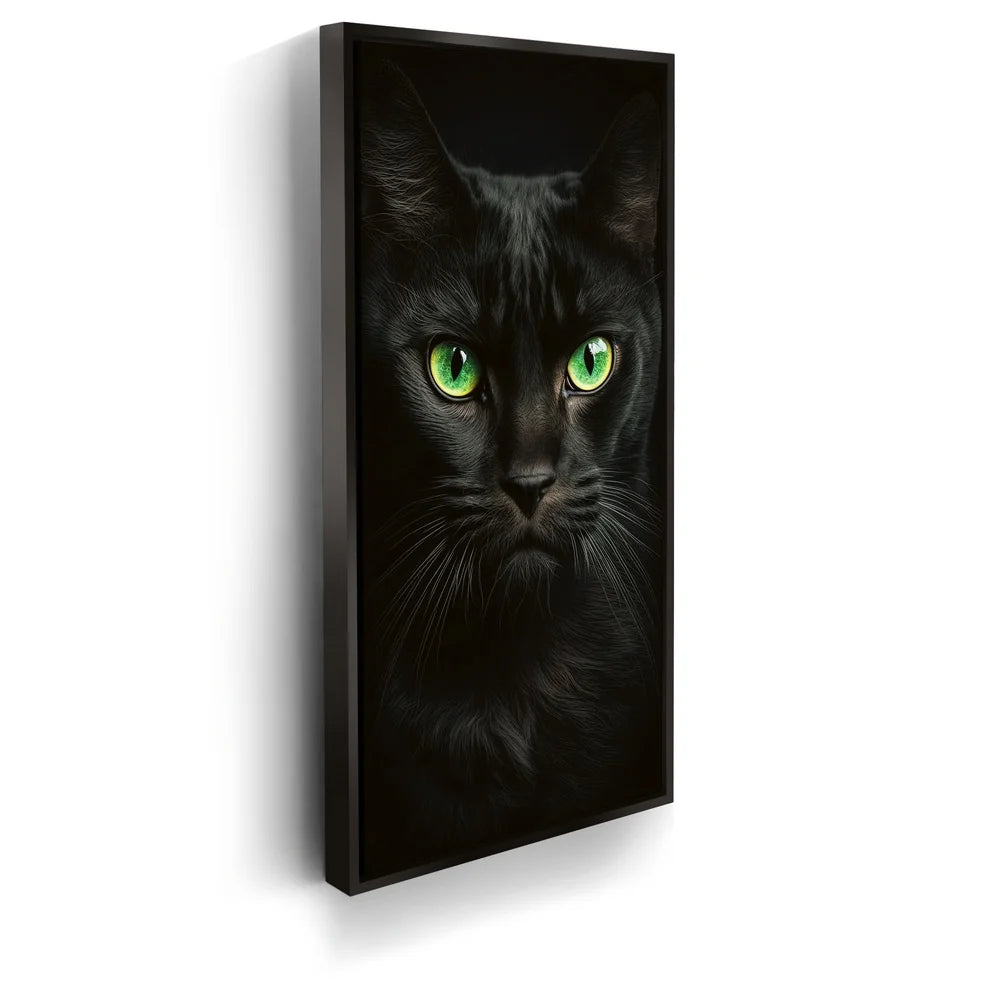 Featured image 5 for Green Eyed Maine Coon