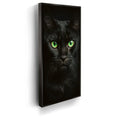 Featured image 5 for Green Eyed Maine Coon