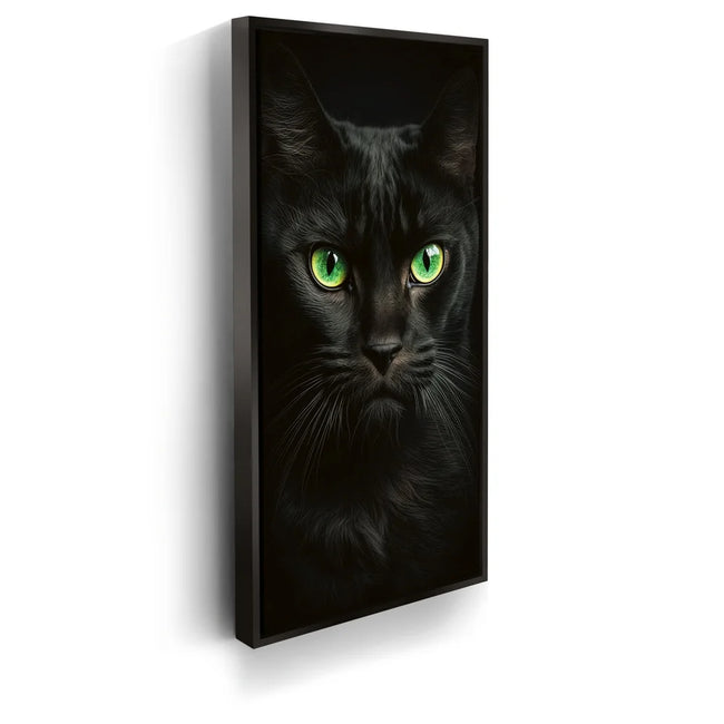 Featured image 5 for Green Eyed Maine Coon