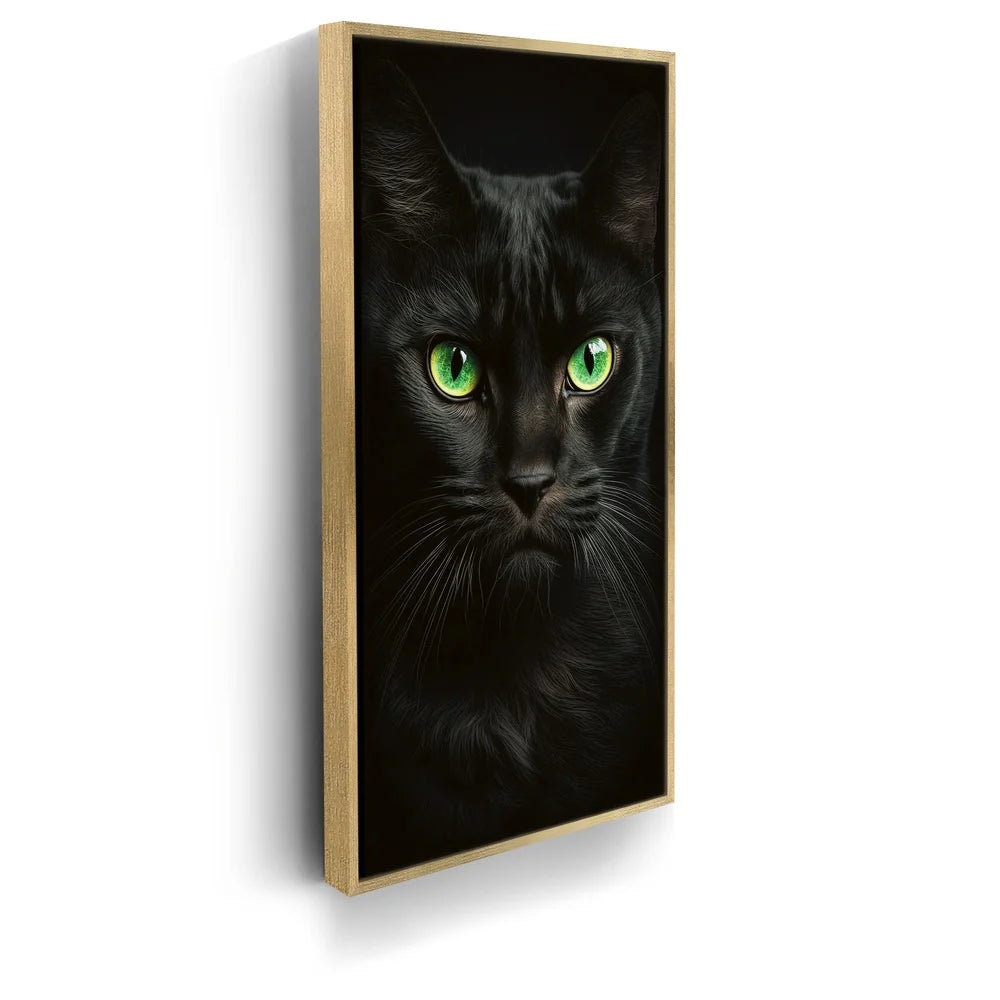 Featured image 7 for Green Eyed Maine Coon