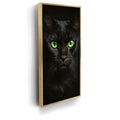 Featured image 7 for Green Eyed Maine Coon