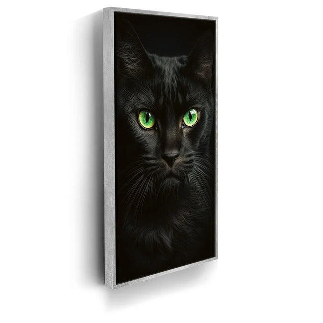 Featured image 8 for Green Eyed Maine Coon