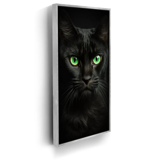 Featured image 8 for Green-Eyed-Maine-Coon