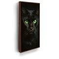 Featured image 10 for Green Eyed Maine Coon