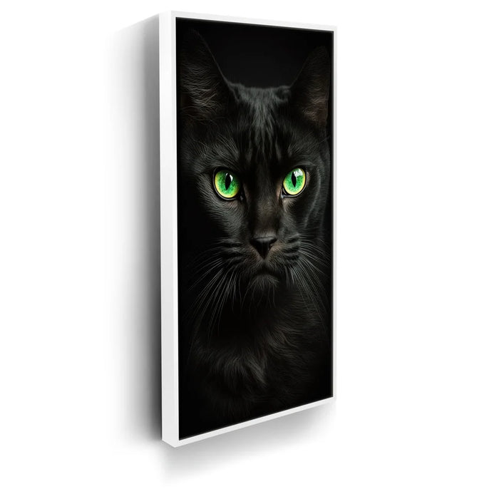 Featured image 6 for Green-Eyed-Maine-Coon