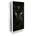 Featured image 6 for Green Eyed Maine Coon