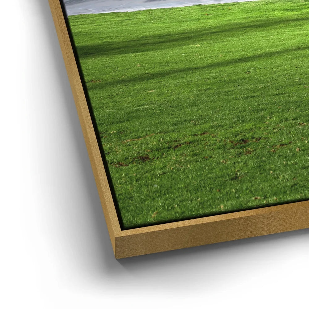 Featured image 12 for Green Grassy Beach